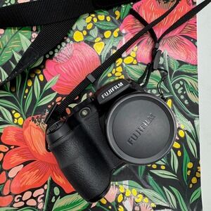 Fujifilm FinePix S1000fd Digital Camera – Compact Point-and-Shoot Camera
